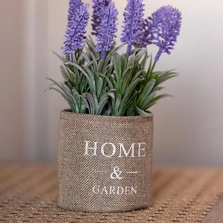 Apartamento Panorama *